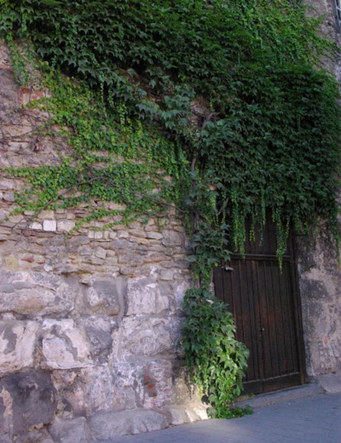Aufhauser Hof Regensburg Buitenkant foto